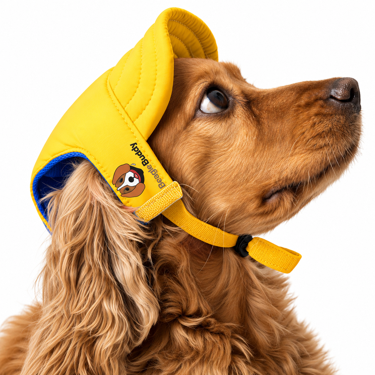 Gorras para Perros