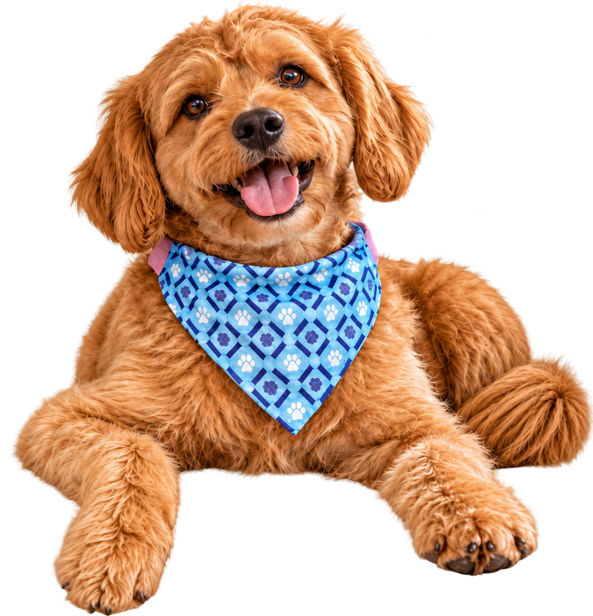 Pañoletas para Perros doble faz