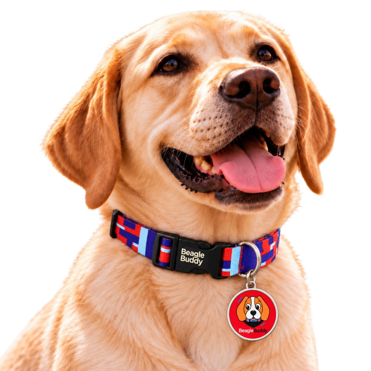 Placas para Perros con Código QR