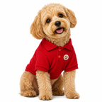 Perro usando polo BeagleBuddy® color rojo.