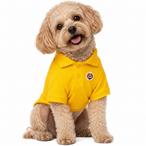Perro usando polo BeagleBuddy® color amarillo.