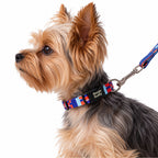 Collar para Perros Ref. CHISPA