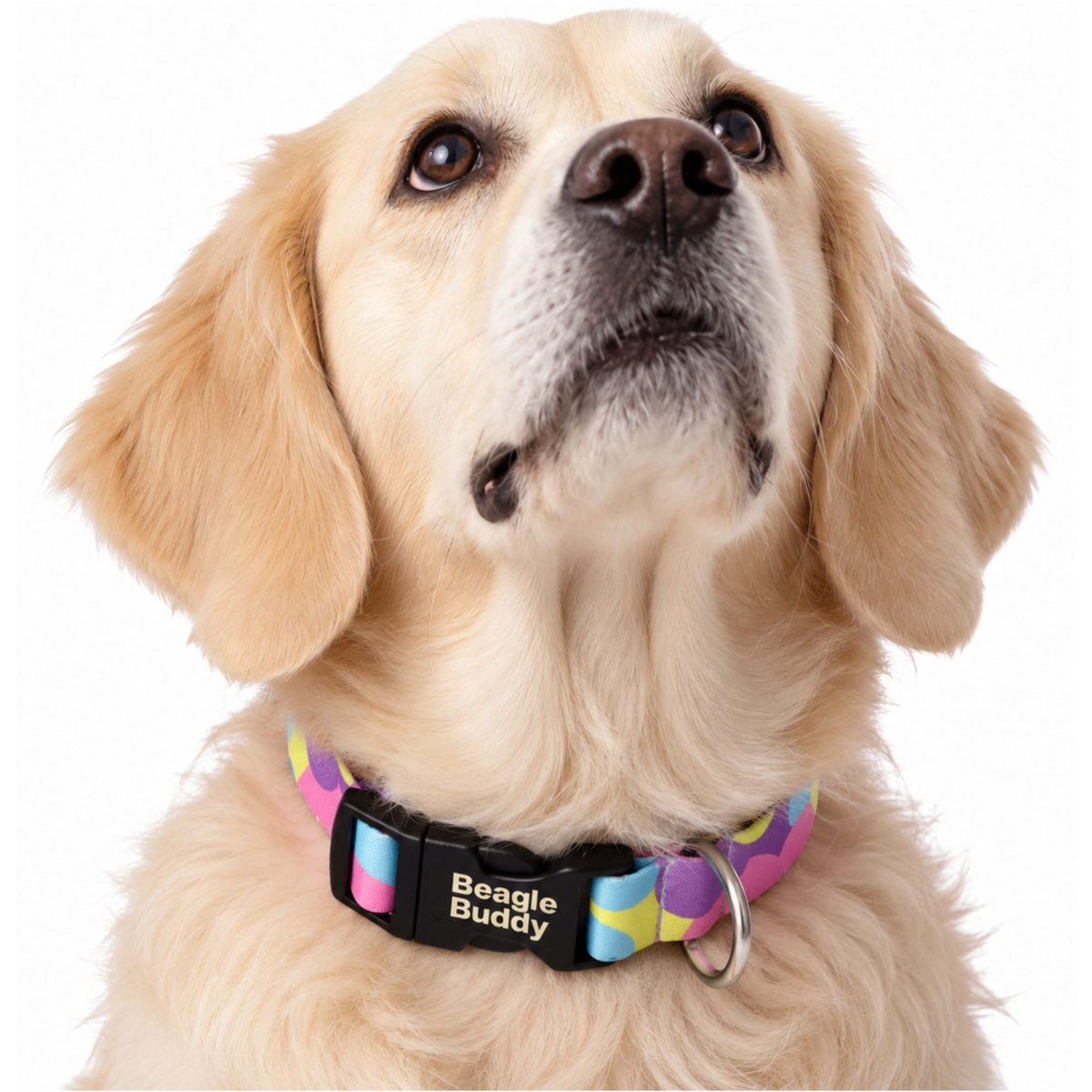 Collar para Perros Ref. LUNA
