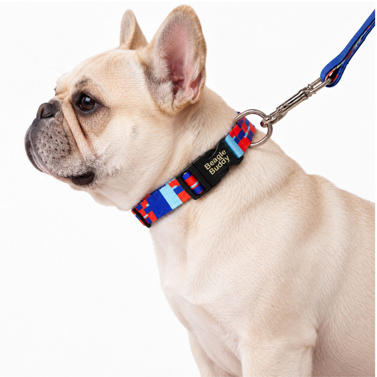 Collar para Perros Ref. CHISPA