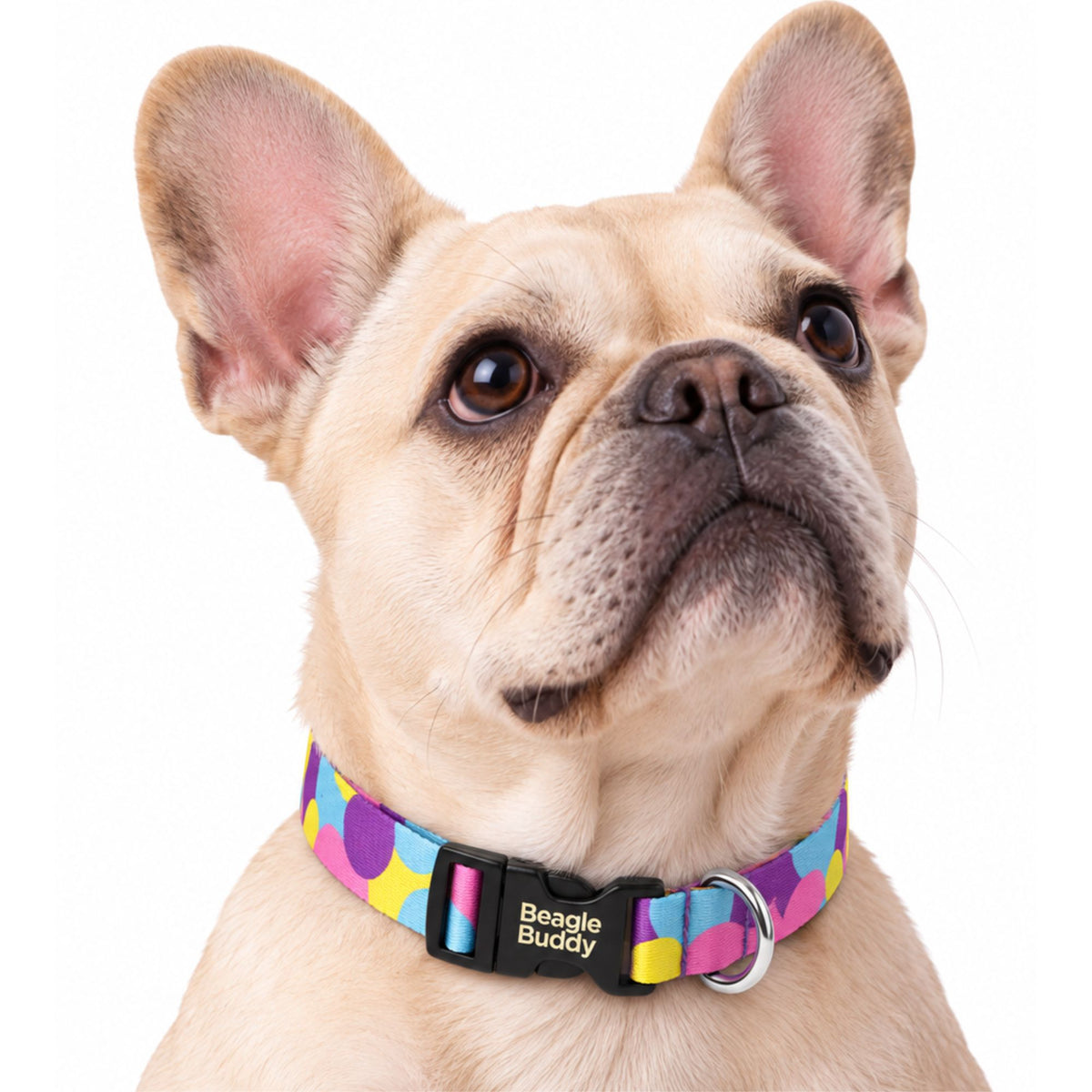 Collar para Perros Ref. LUNA