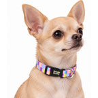 Collar para Perros Ref. CANDY