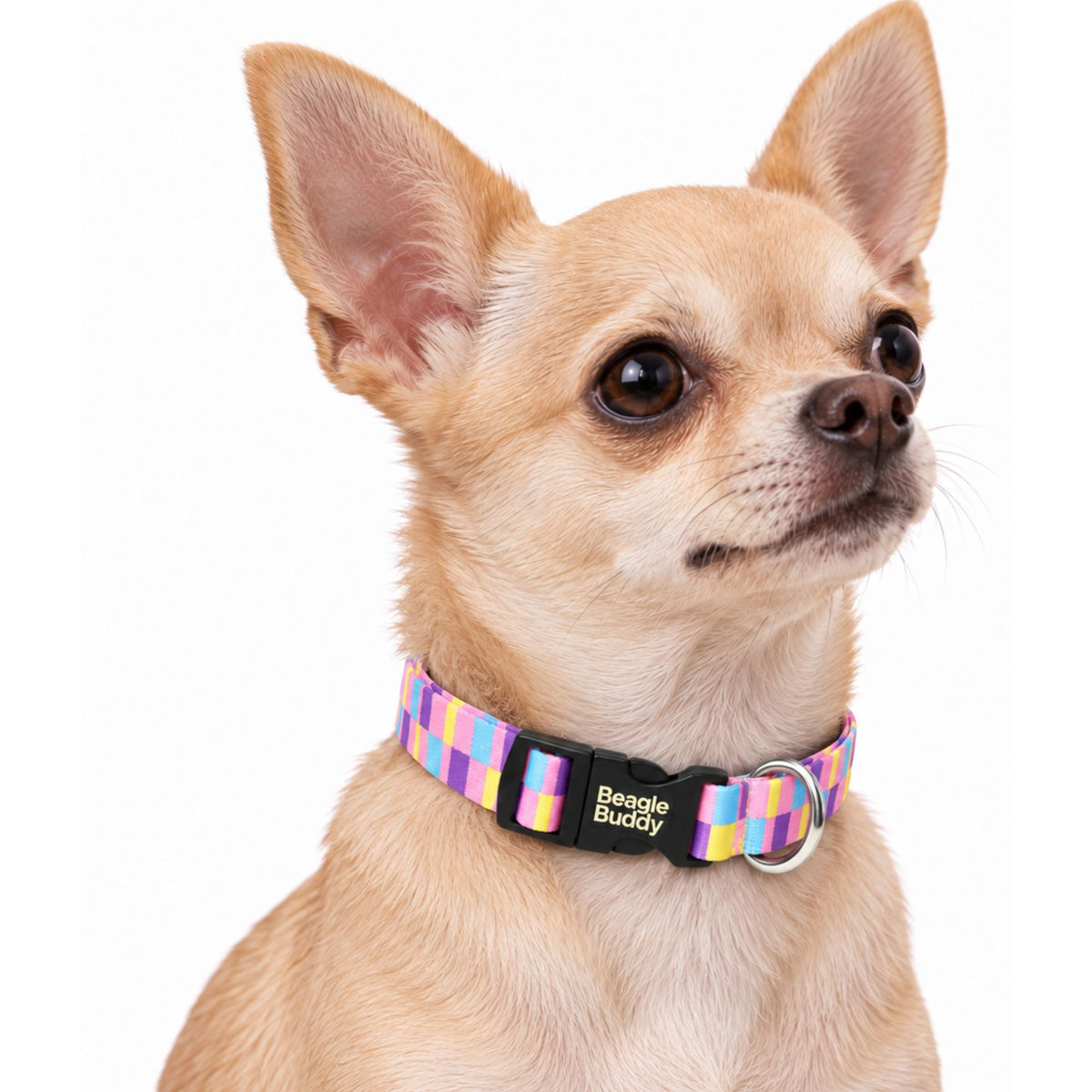 Collar para Perros Ref. CANDY