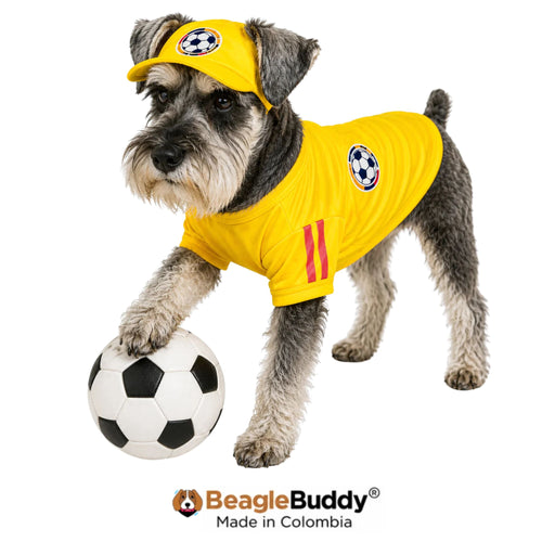 Schnauzer usando gorra y camiseta Selección Colombia BeagleBuddy®.