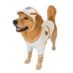 Golden Retriever usando conjunto clásico Selección Colombia BeagleBuddy®.