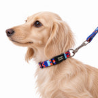 Collar para Perros Ref. CHISPA