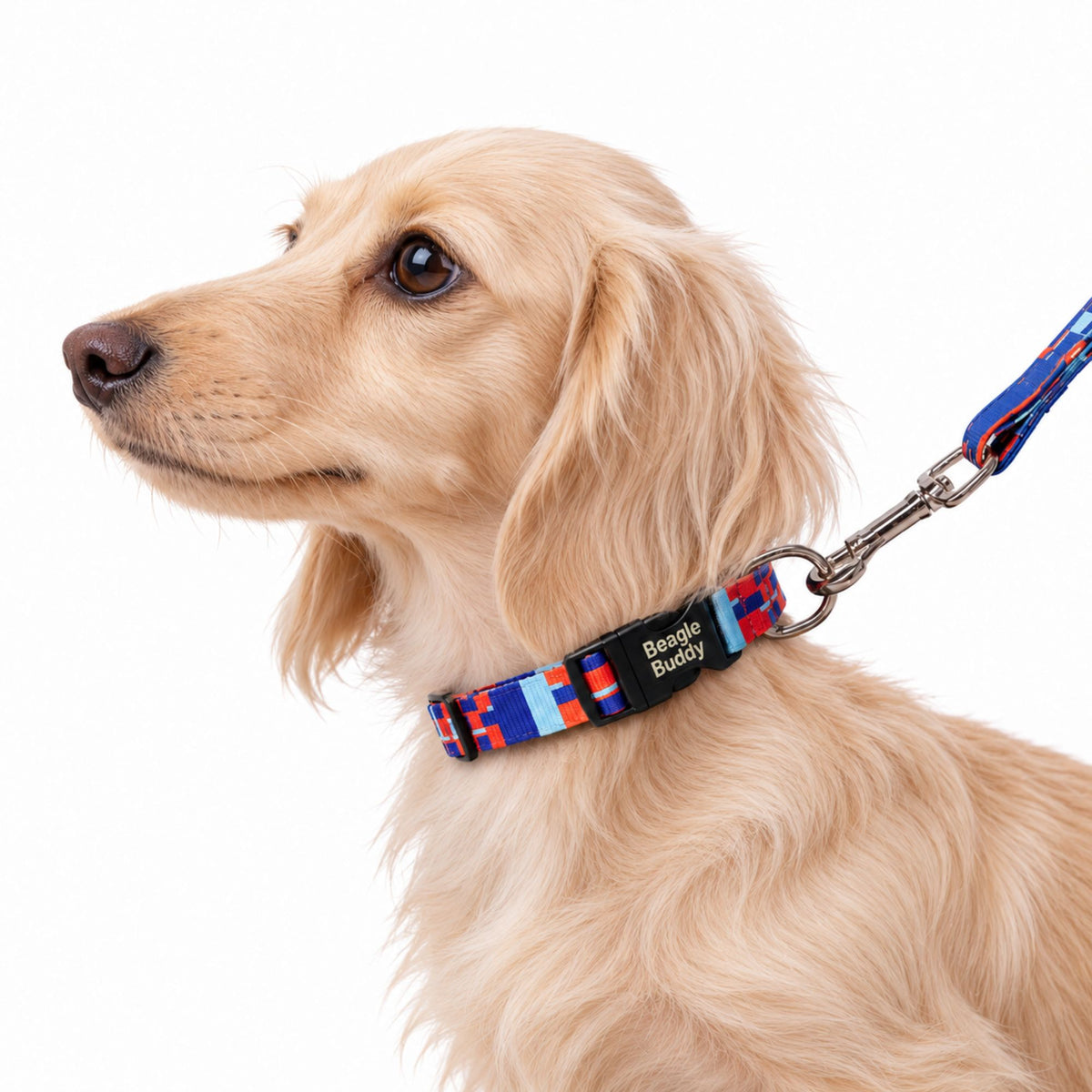 Collar para Perros Ref. CHISPA