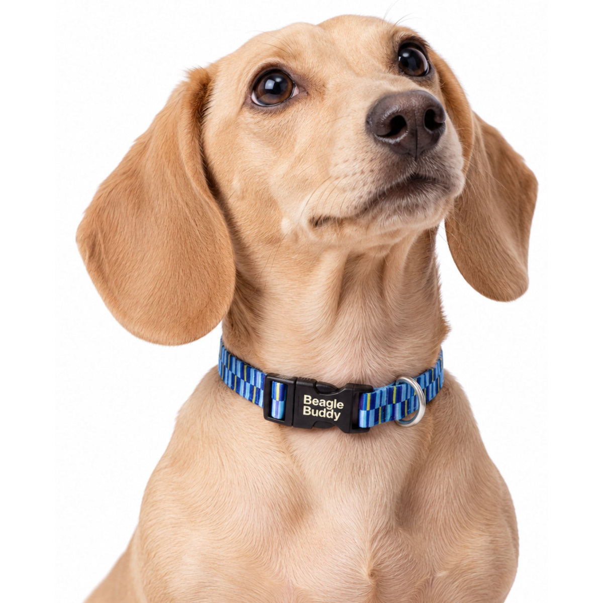 Collar para Perros Ref. BRISA