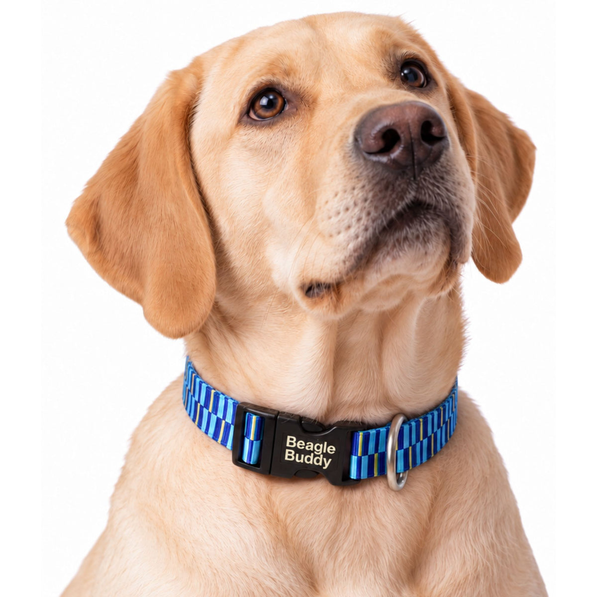 Collar para Perros Ref. BRISA