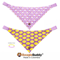 Pañoleta doble faz para perro BeagleBuddy® diseño Pawhearts.