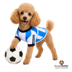 Perro usando camiseta para perro BeagleBuddy® diseño Selección Argentina en poliéster suave y transpirable.