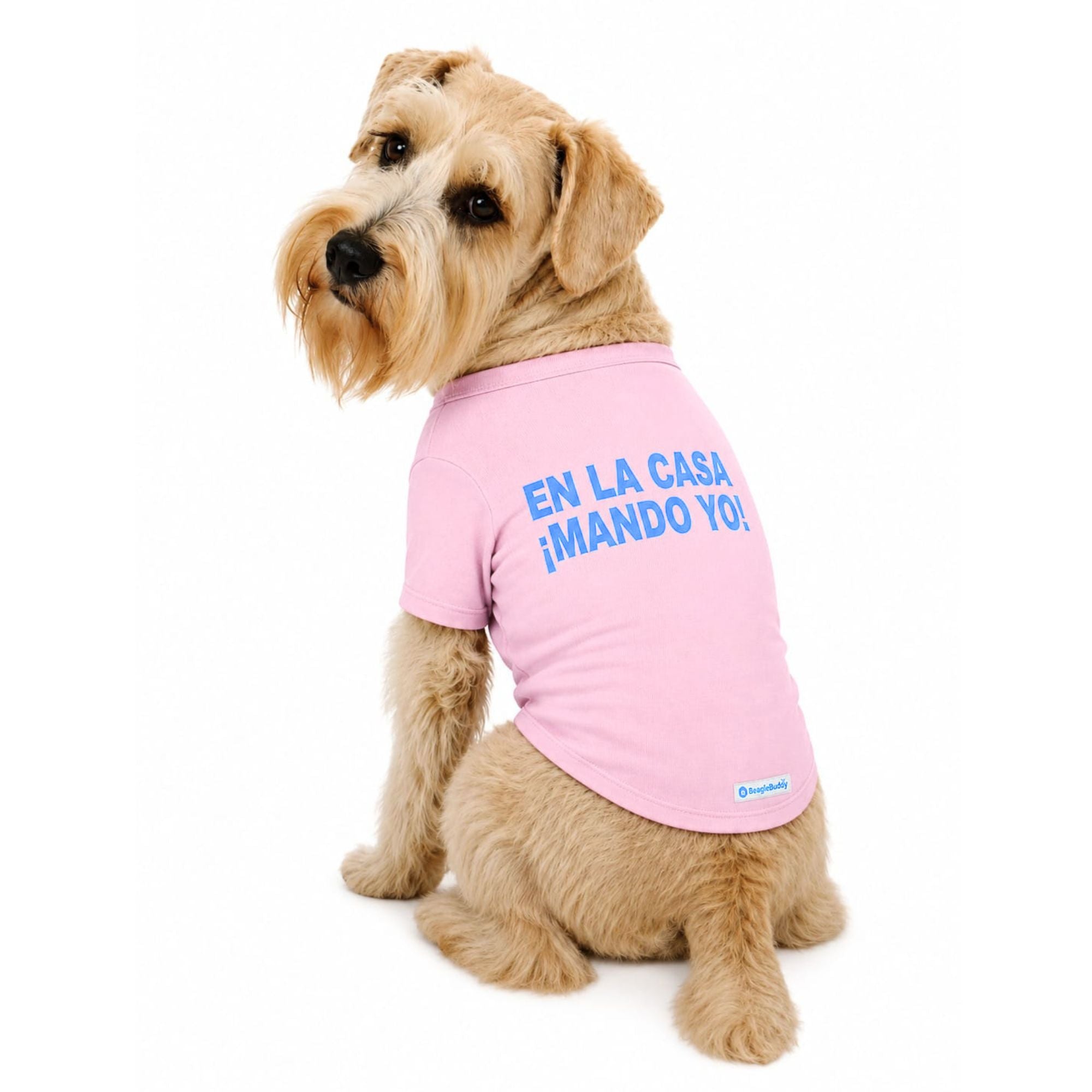 Perro usando camiseta estampada para perros BeagleBuddy® con mensaje "En la casa ¡mando yo!" vista posterior.