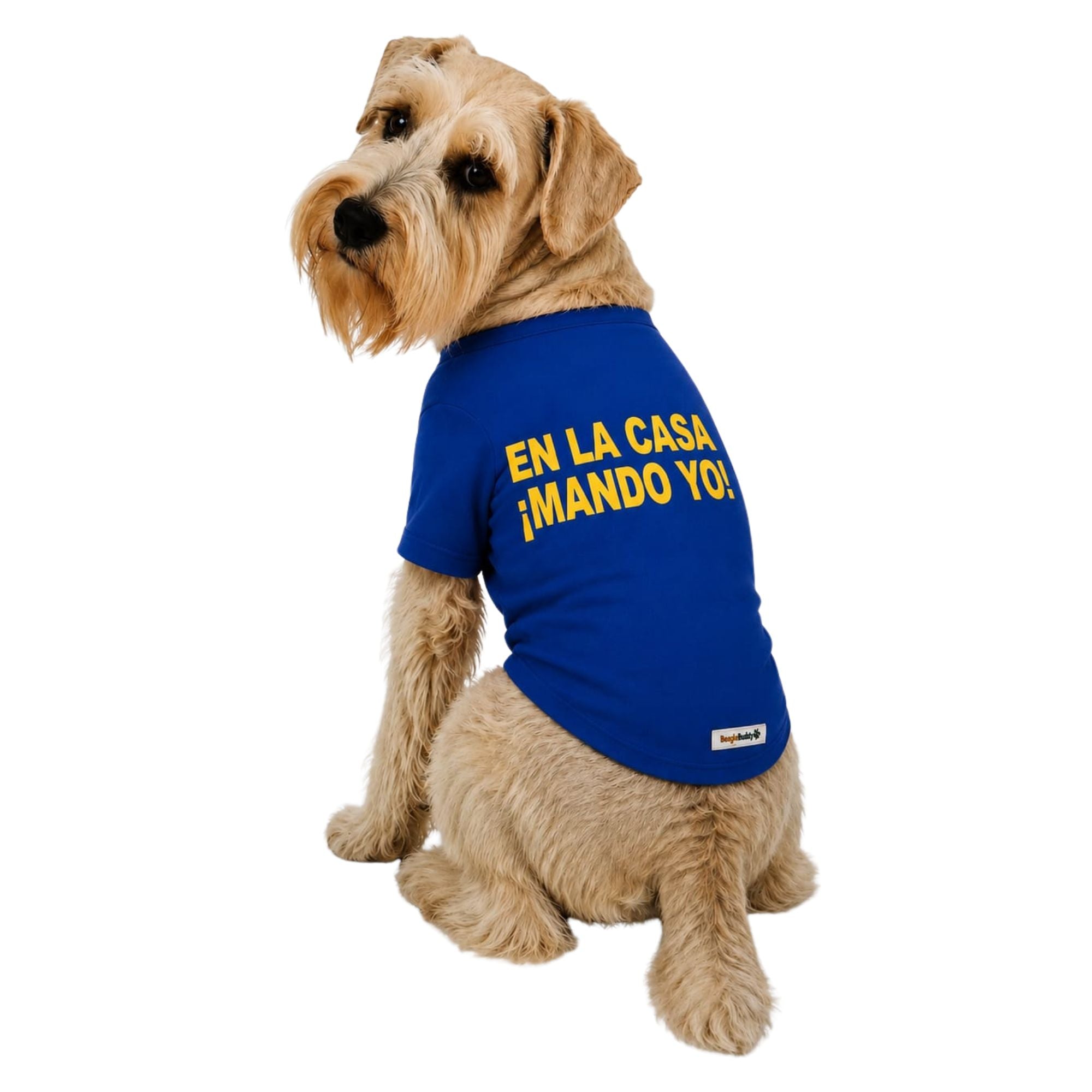 Perro usando camiseta estampada para perros BeagleBuddy® color azul con mensaje "En la casa ¡mando yo!" vista posterior.