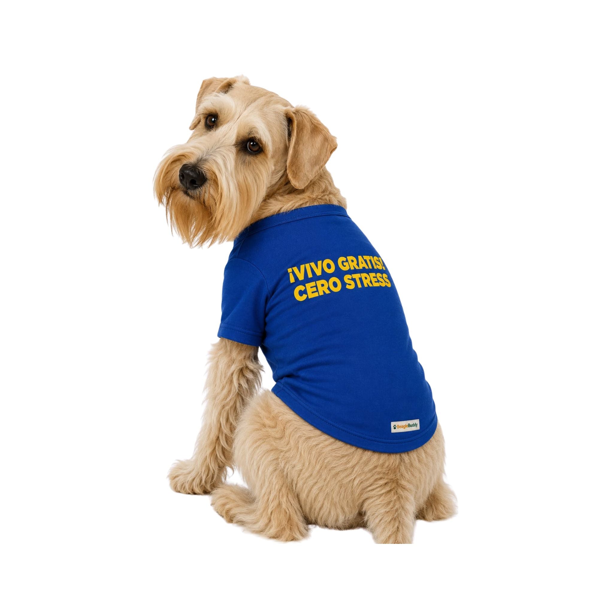 Perro usando camiseta estampada para perros BeagleBuddy® color azul con mensaje "vivo gratis" vista posterior.