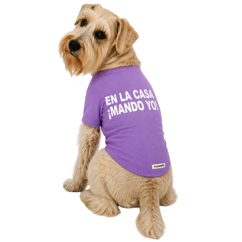 Perro usando camiseta estampada para perros BeagleBuddy® color lila con mensaje "En la casa ¡mando yo!" vista posterior.