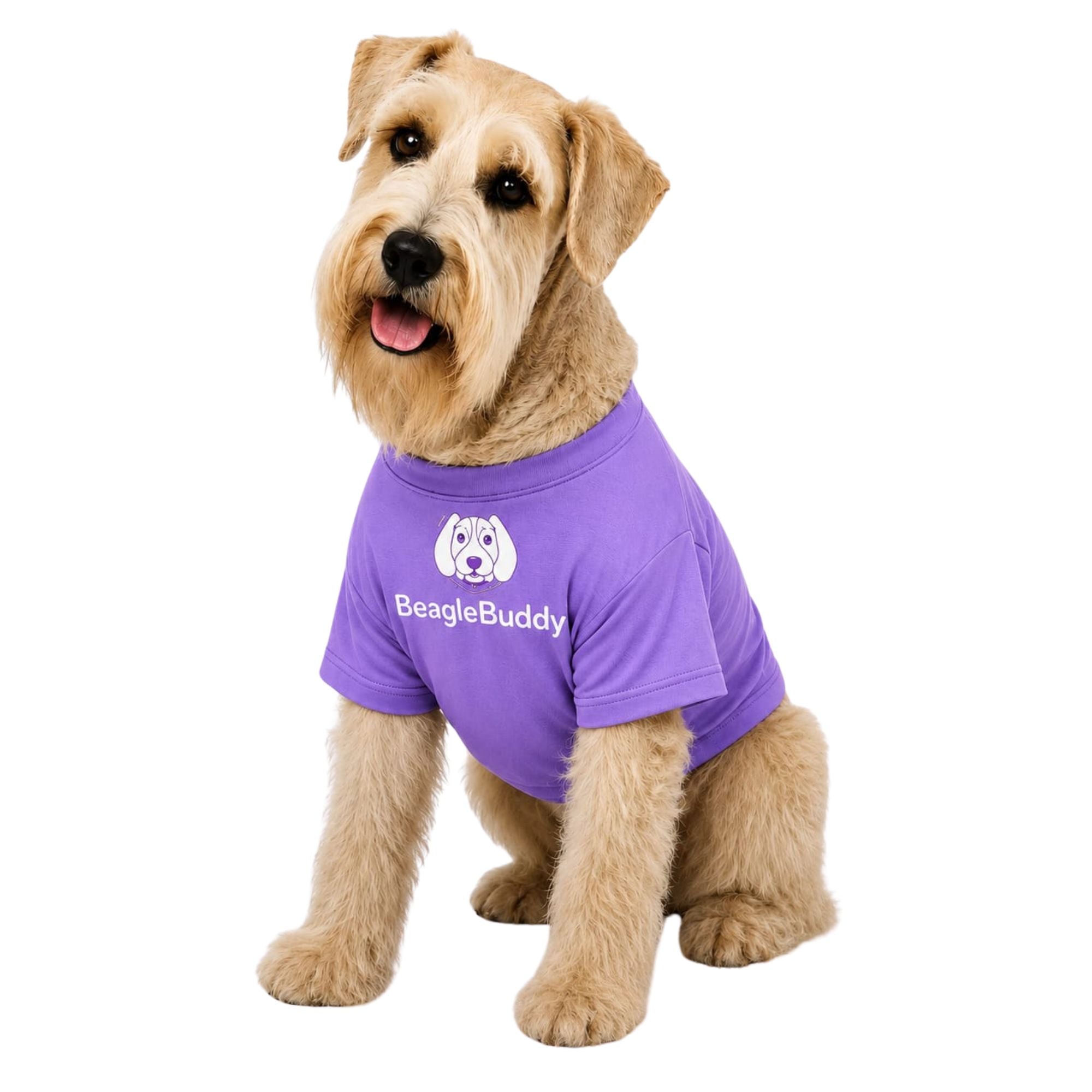 Perro usando camiseta estampada para perros BeagleBuddy® en polialgodón color lila vista frontal.