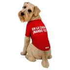 Perro usando camiseta estampada para perros BeagleBuddy® color rojo con mensaje "En la casa ¡mando yo!" vista posterior.