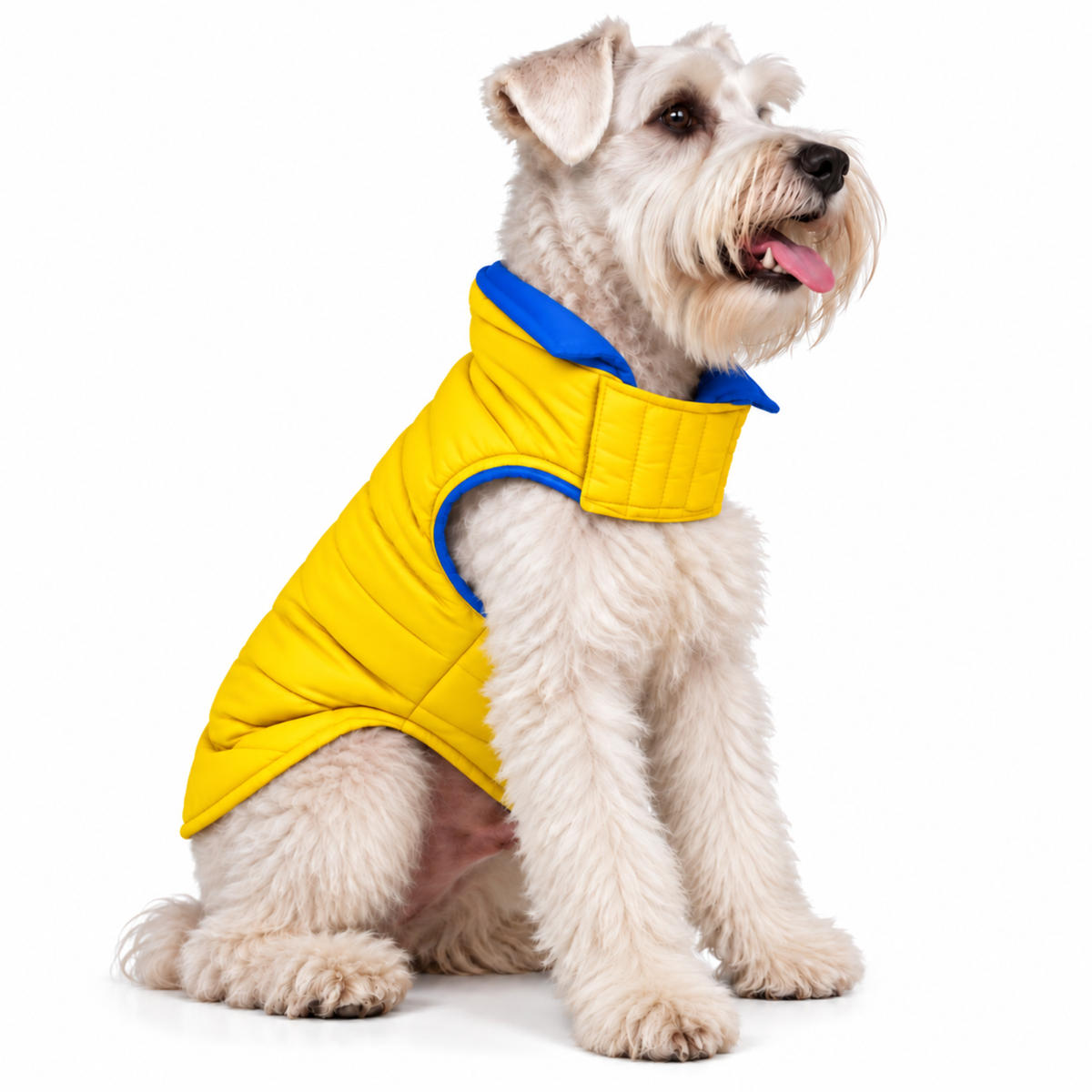 Chaleco para Perros Doble Faz Azul/Amarillo