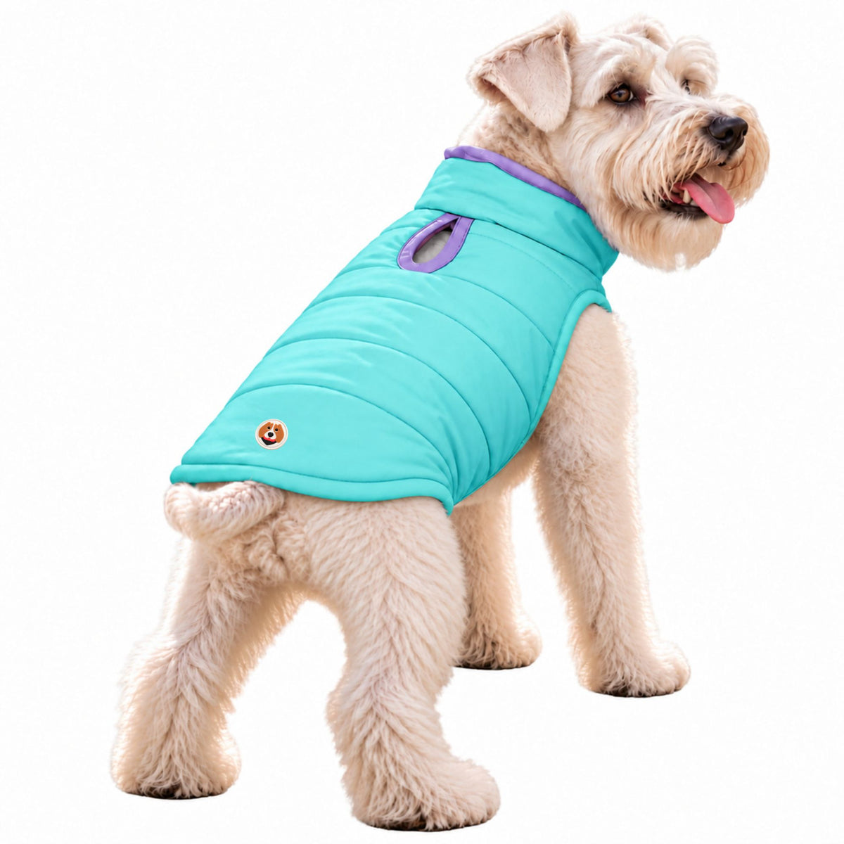 Chaleco para Perros Doble Faz Lila/Menta