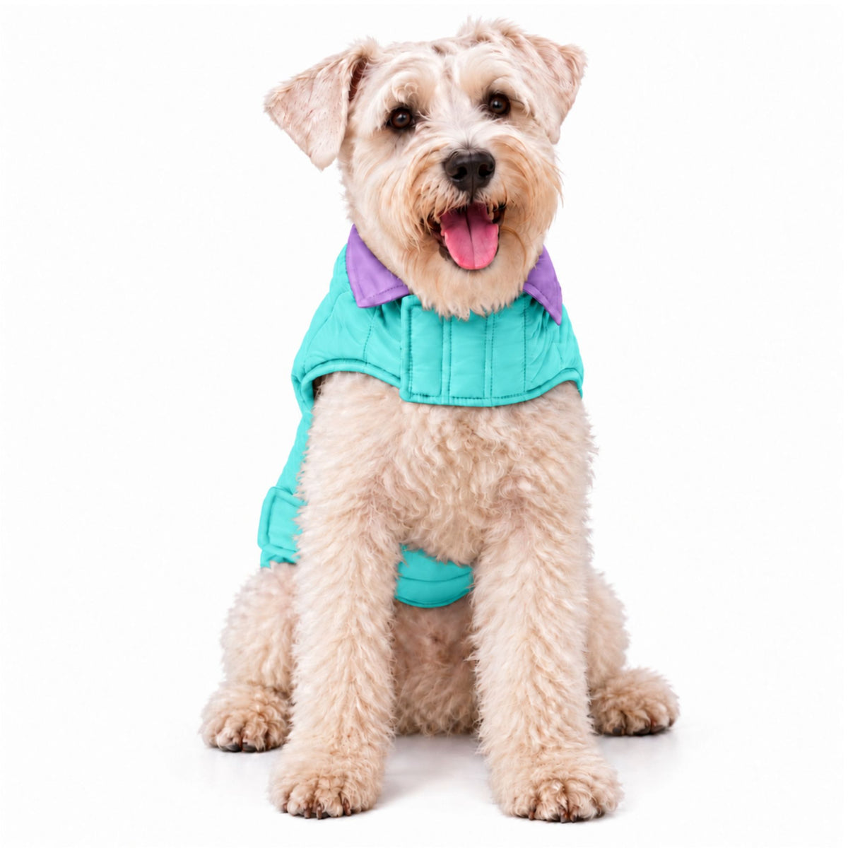 Chaleco para Perros Doble Faz Lila/Menta