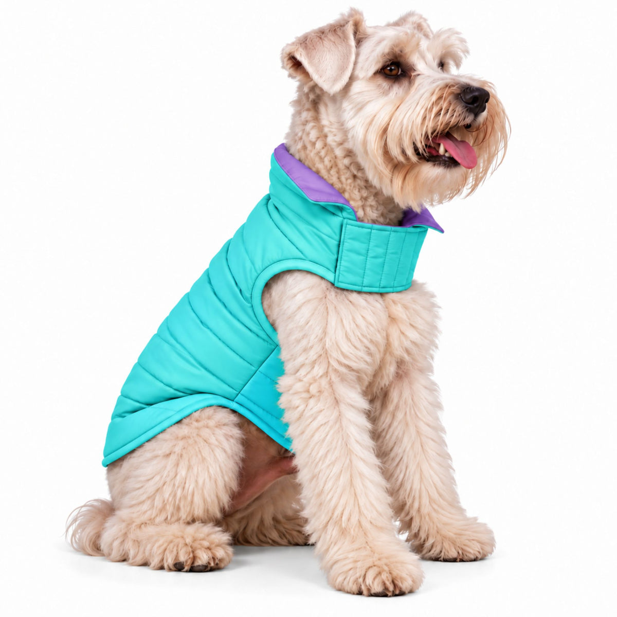 Chaleco para Perros Doble Faz Lila/Menta