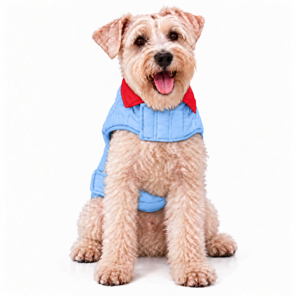 Chaleco para Perros Doble Faz Rojo/Azul