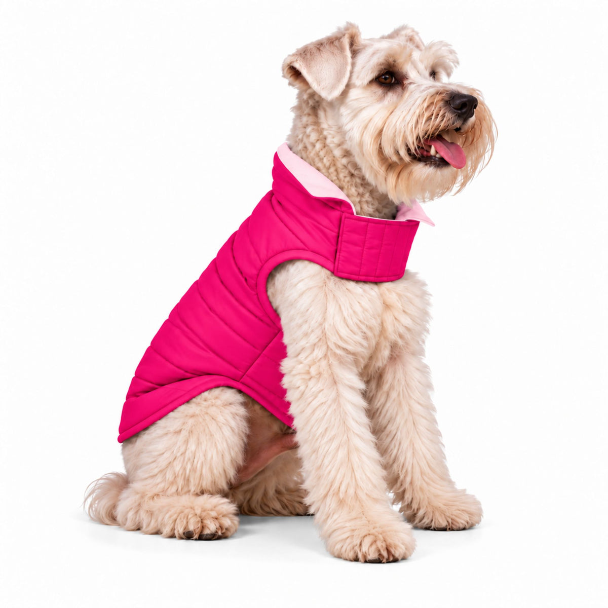 Chaleco para Perros Doble Faz Rosado/Fucsia
