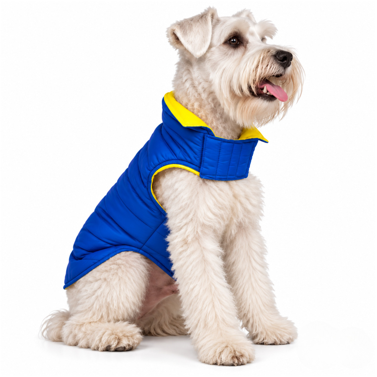 Chaleco para Perros Doble Faz Azul/Amarillo