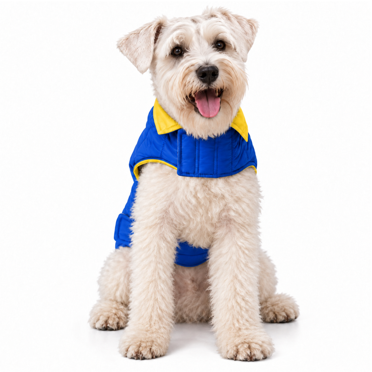 Chaleco para Perros Doble Faz Azul/Amarillo