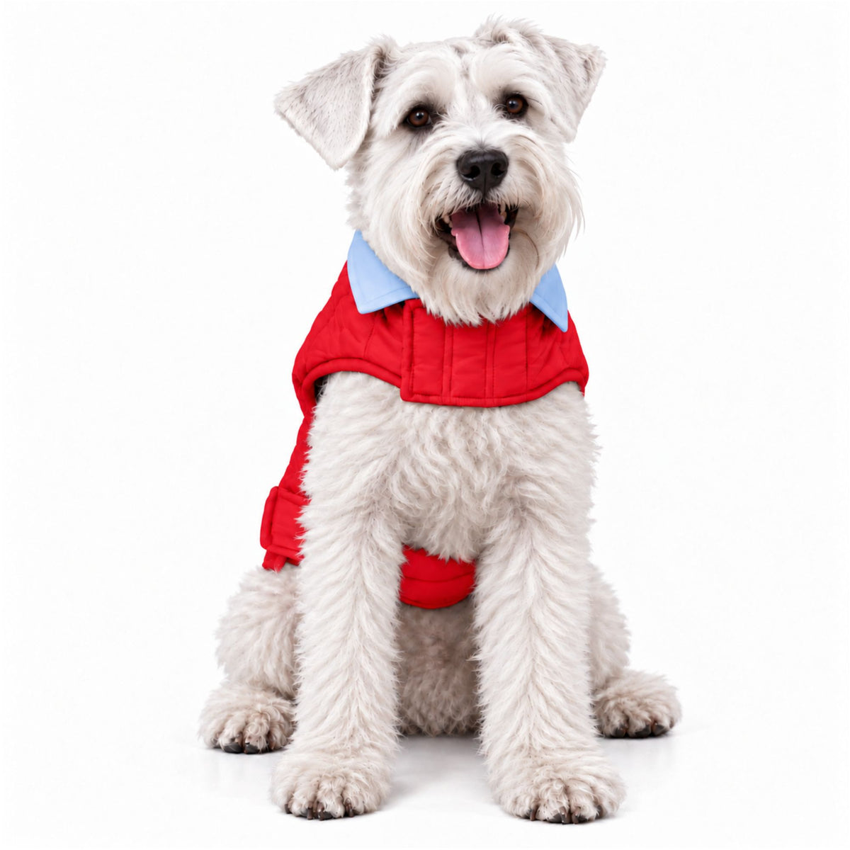 Chaleco para Perros Doble Faz Rojo/Azul