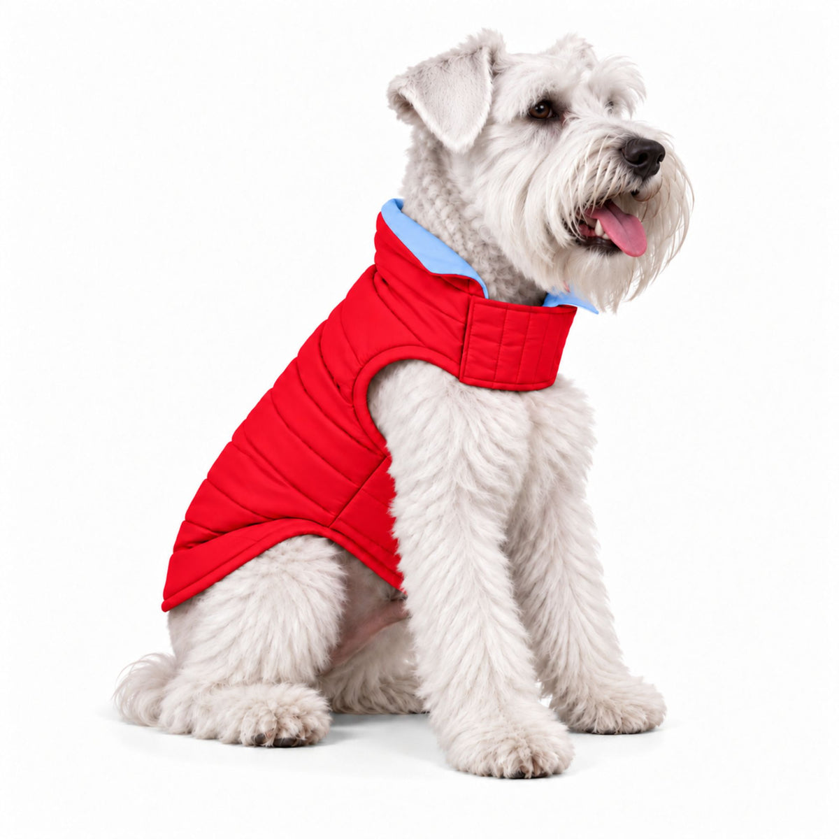 Chaleco para Perros Doble Faz Rojo/Azul