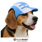 Beagle usando gorra para perro Selección Argentina BeagleBuddy® con protección solar.