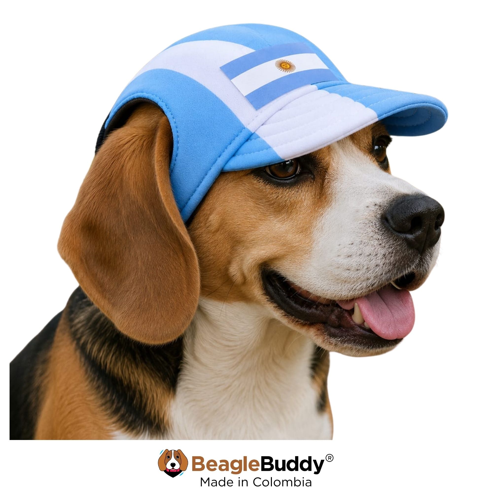 Beagle usando gorra para perro Selección Argentina BeagleBuddy® con protección solar.