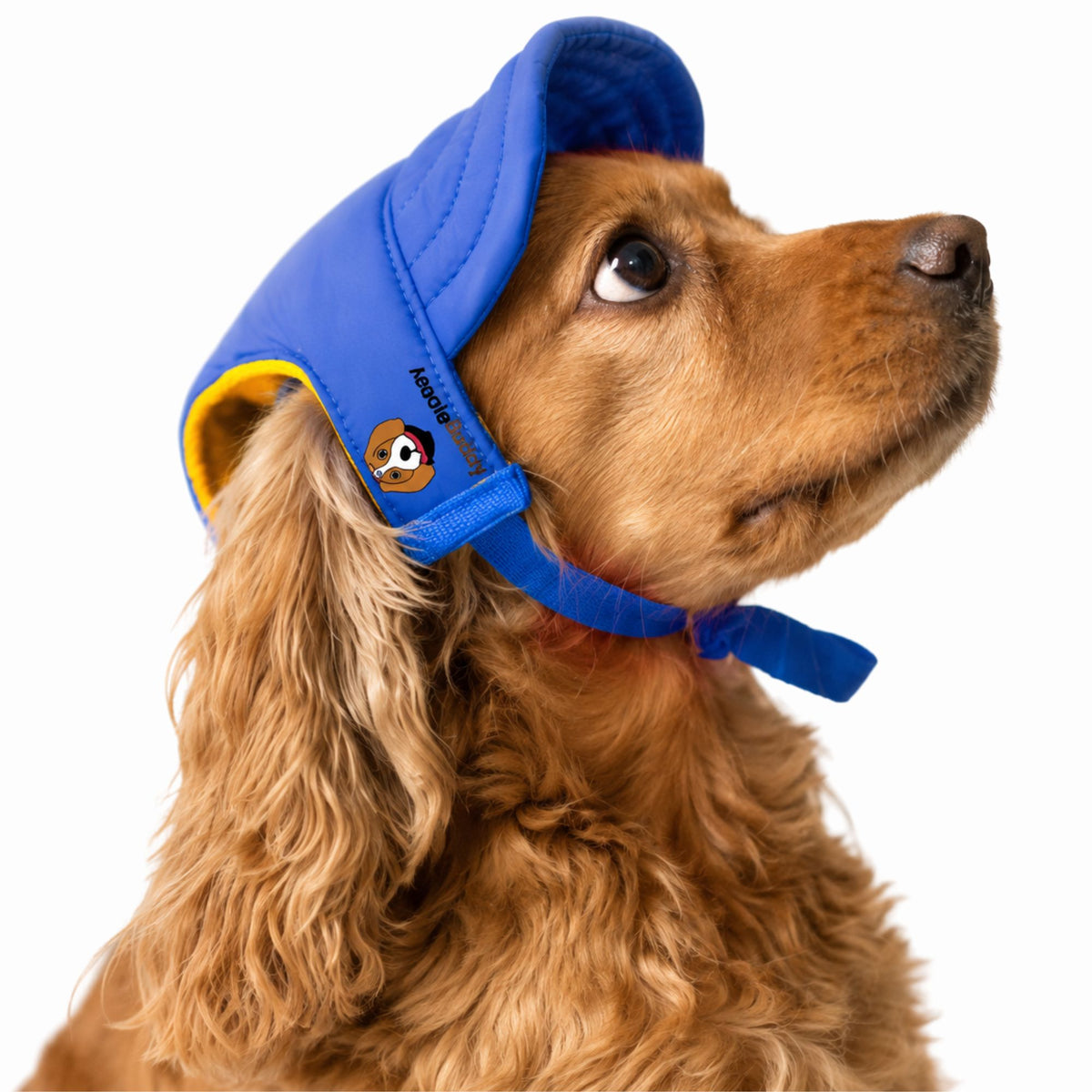Gorra Azul Marino