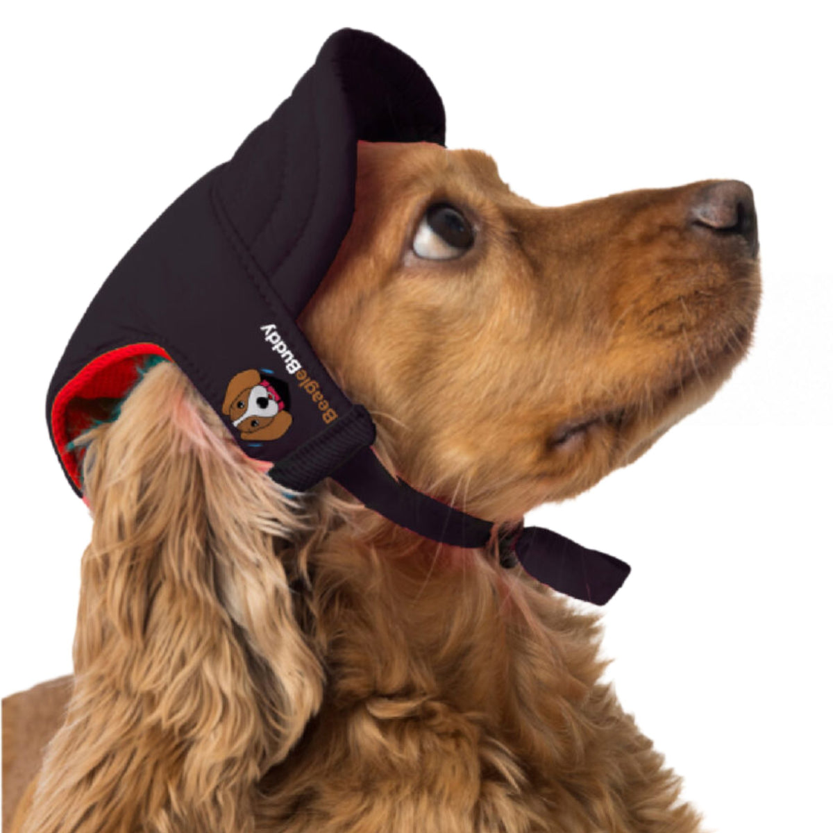 Gorra Negra