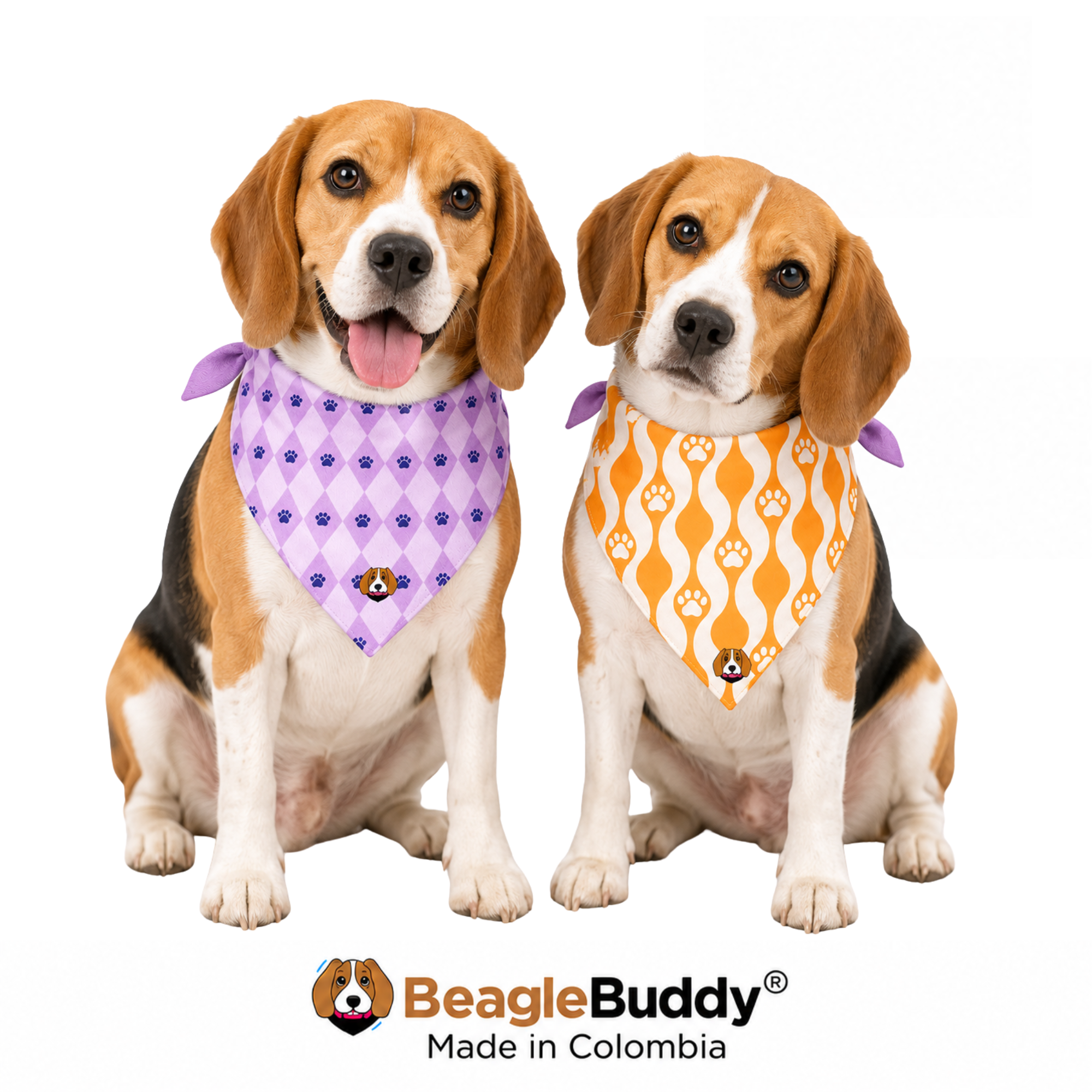 Perros usando pañoleta doble faz BeagleBuddy® diseño Bubble.