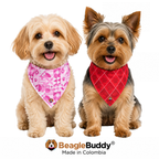 Perros usando pañoleta doble faz BeagleBuddy® diseño Mix.