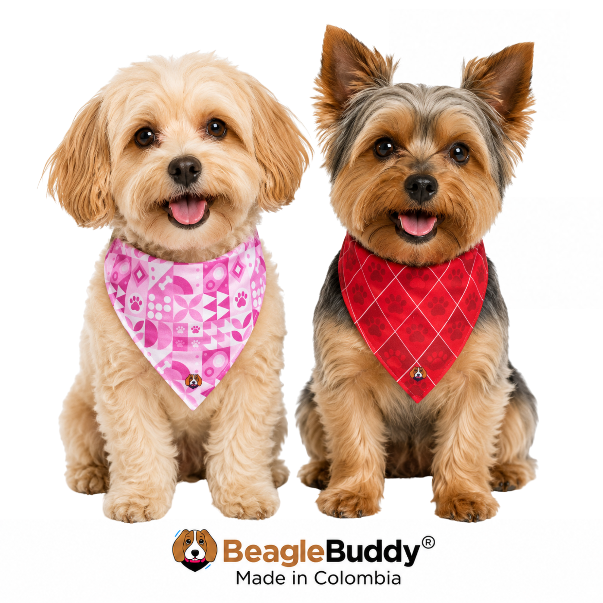 Perros usando pañoleta doble faz BeagleBuddy® diseño Mix.