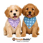 Perros usando pañoleta doble faz BeagleBuddy® diseño Pawgrid.