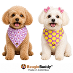 Perros usando pañoleta doble faz BeagleBuddy® diseño Pawhearts.