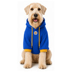 Perro usando buzo con capucha BeagleBuddy® color azul.