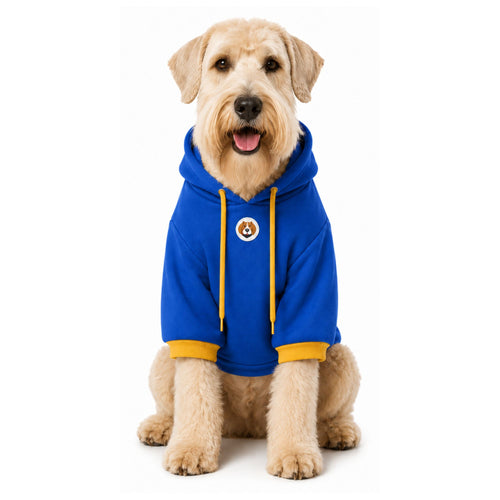 Perro usando buzo con capucha BeagleBuddy® color azul.