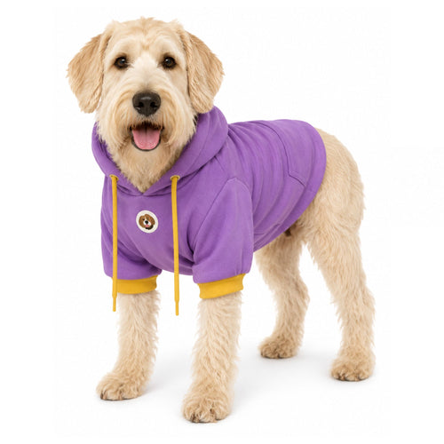 Perro usando buzo con capucha BeagleBuddy® color lila