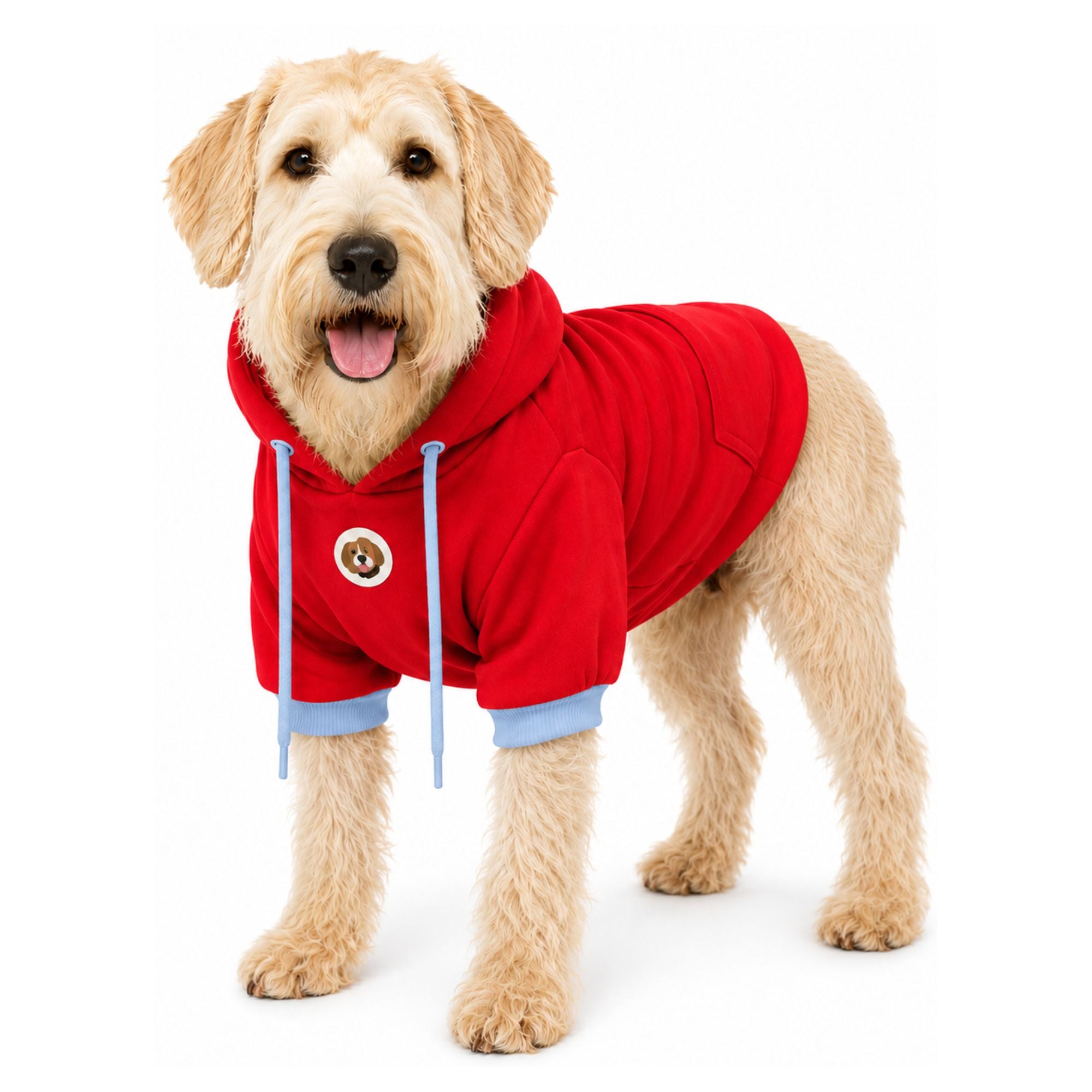 Perro usando buzo con capucha BeagleBuddy® color rojo.