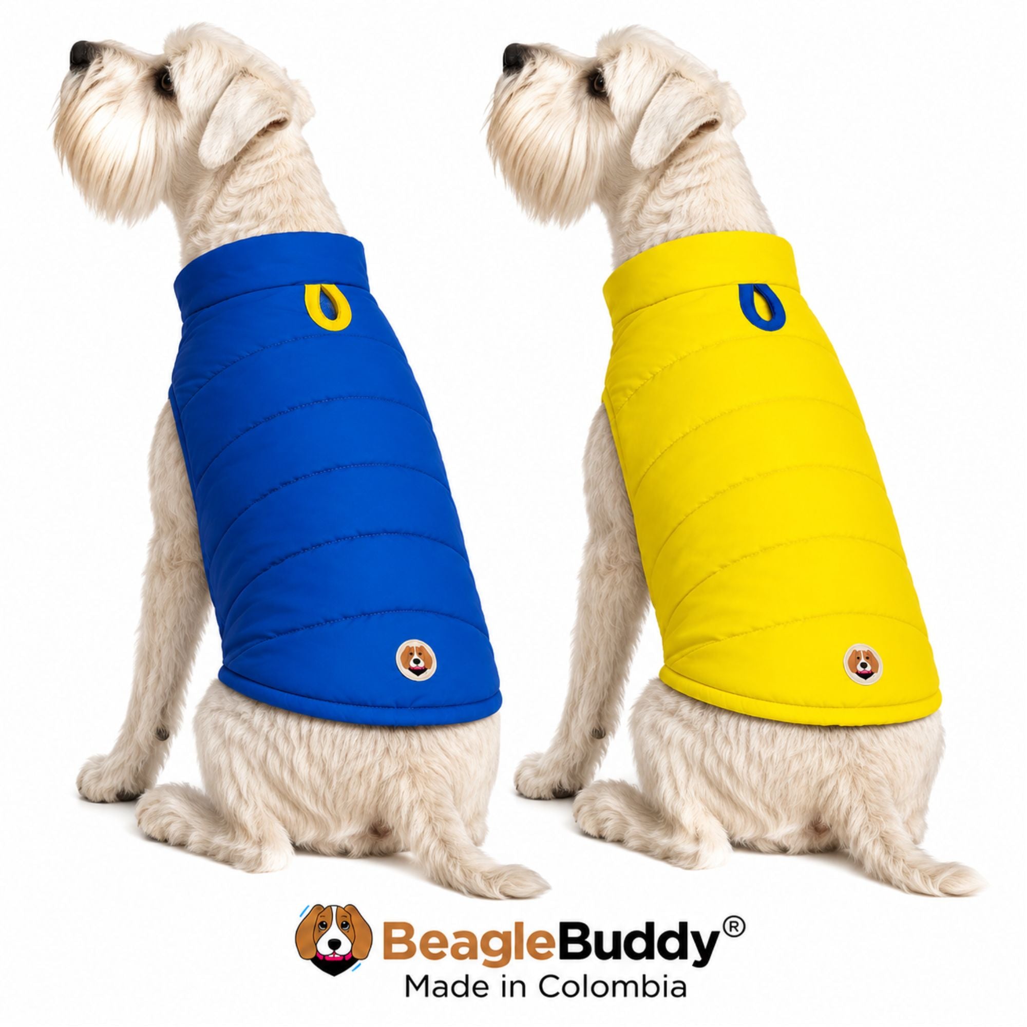 Perros usando chaleco impermeable doble faz BeagleBuddy® colores azul y amarillo.