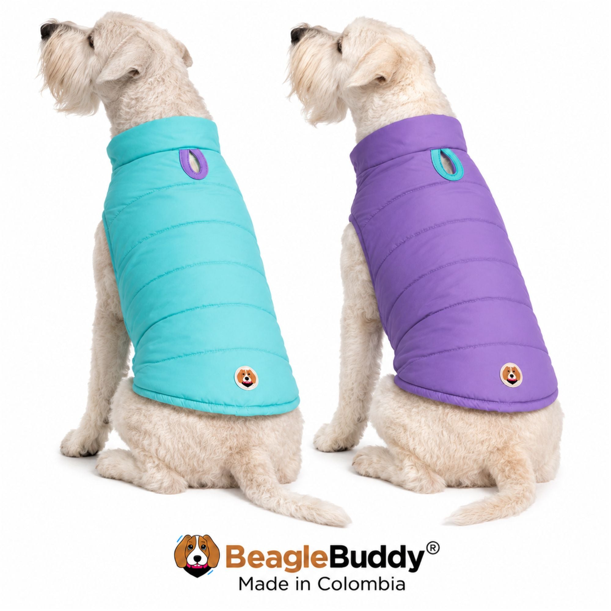 Perros usando chaleco impermeable doble faz BeagleBuddy® color lila y menta.